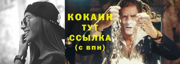 соль ск Балахна