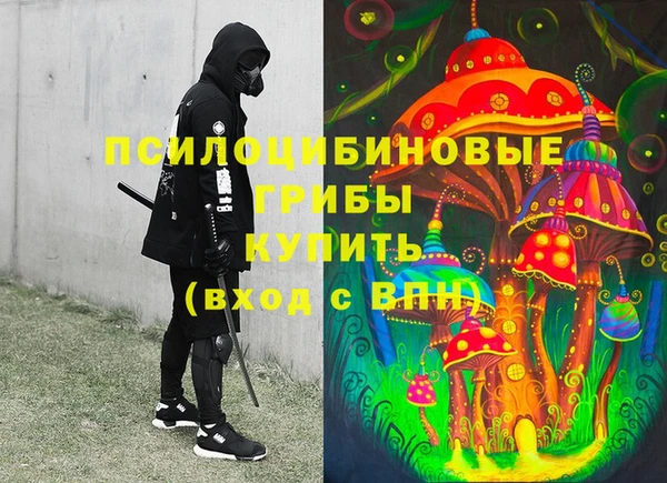 соль ск Балахна