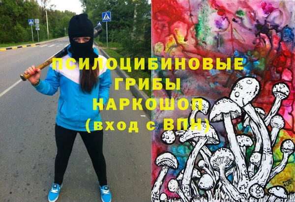 соль ск Балахна