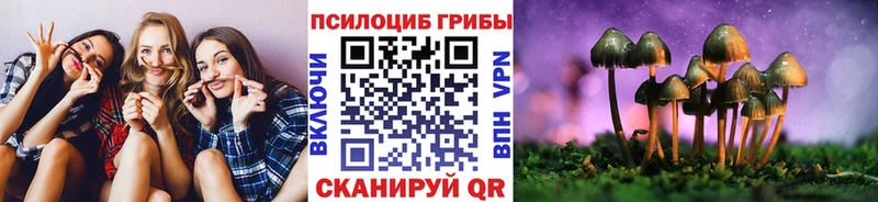 Галлюциногенные грибы MAGIC MUSHROOMS  продажа наркотиков  Звенигород 
